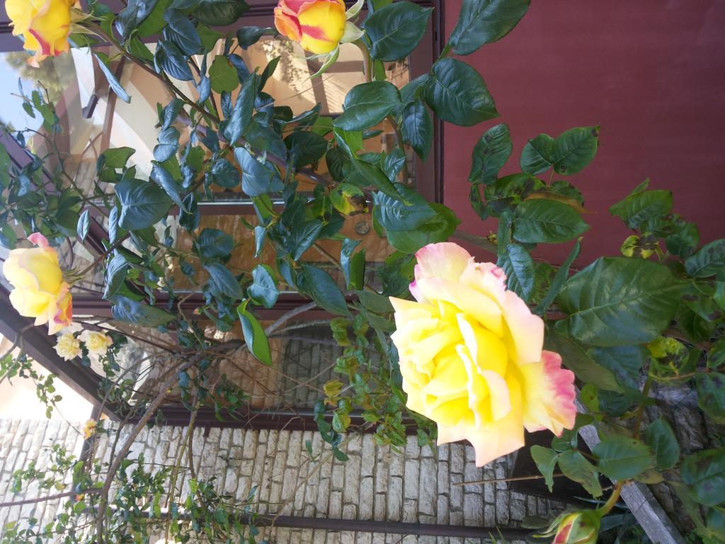 B&B Villa Acero Marina Di Carrara Ngoại thất bức ảnh